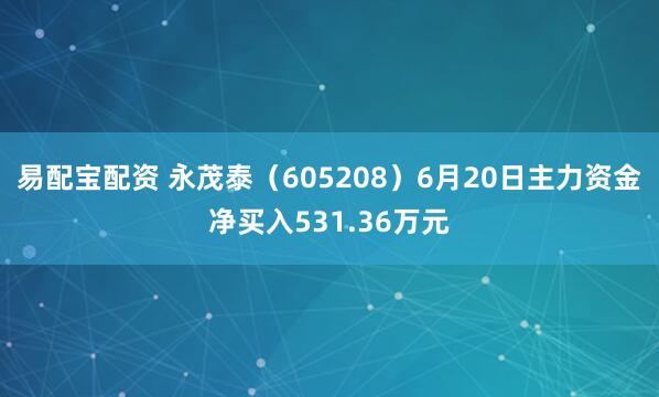 易配宝配资 永茂泰（605208）6月20日主力资金净买入531.36万元