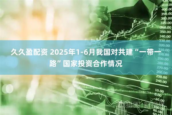 久久盈配资 2025年1-6月我国对共建“一带一路”国家投资合作情况